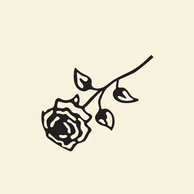 @rosebooks.co profile image