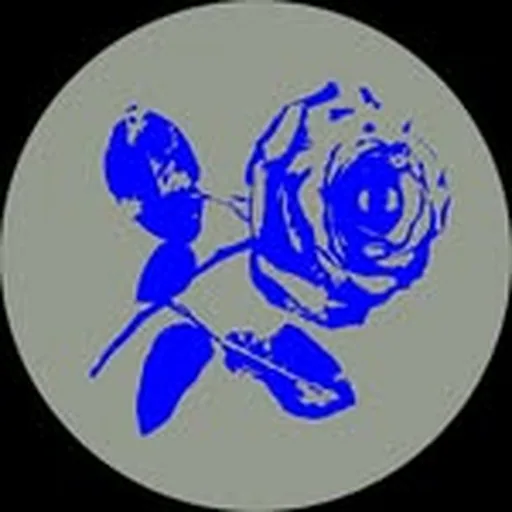 @rosemary.hifi profile image