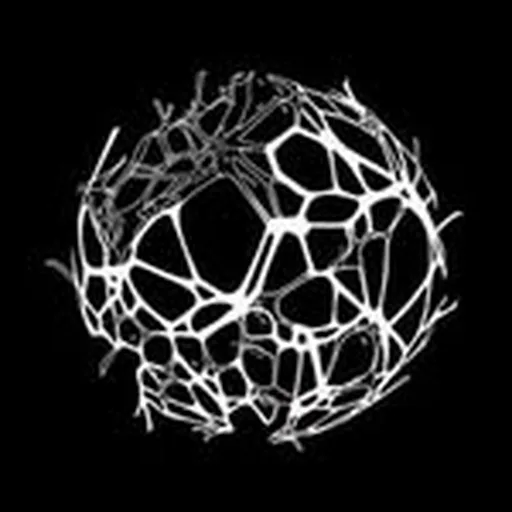 @roth_architecture profile image