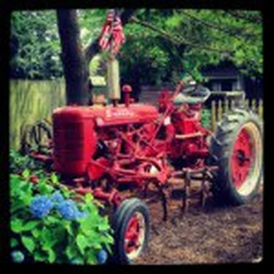 @roundswampfarm profile image