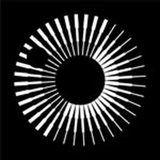 @royalastrosoc profile image