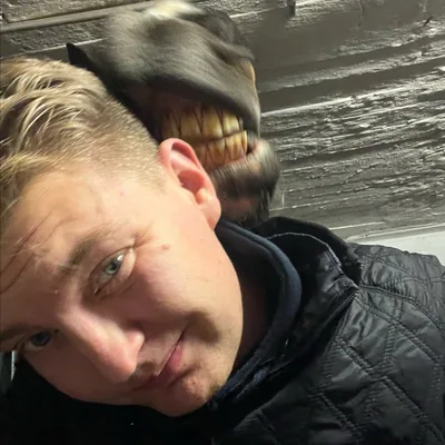 @roykokkonen profile image
