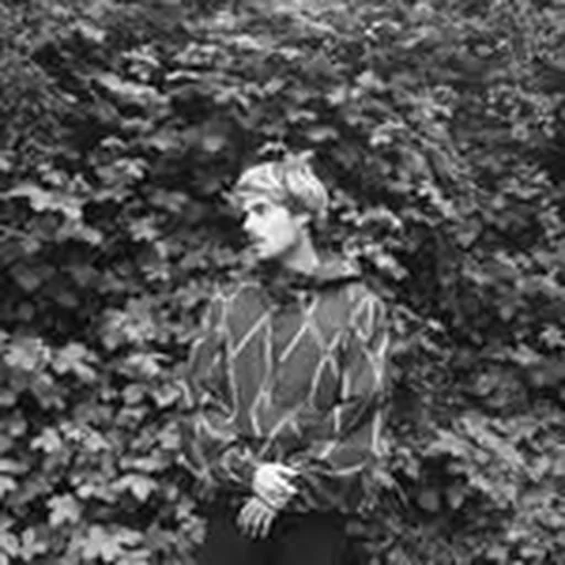 @rrrotate profile image