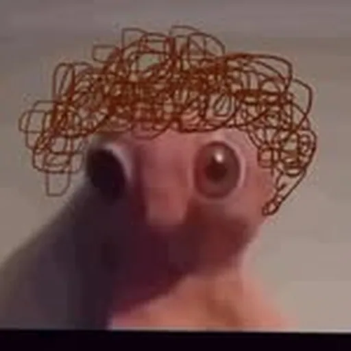 @rscybusiness profile image