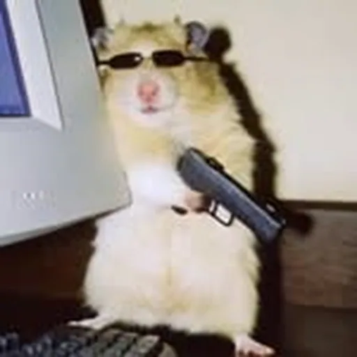 @rtk_tarantino profile image