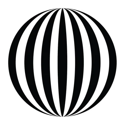 @runzebra.run profile image