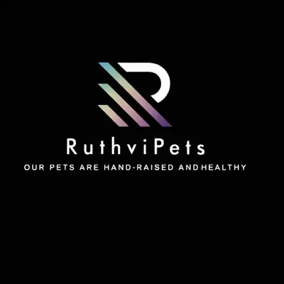 @ruthvi_pets_chromepet profile image