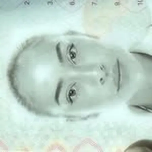 @sabahmesbahi profile image