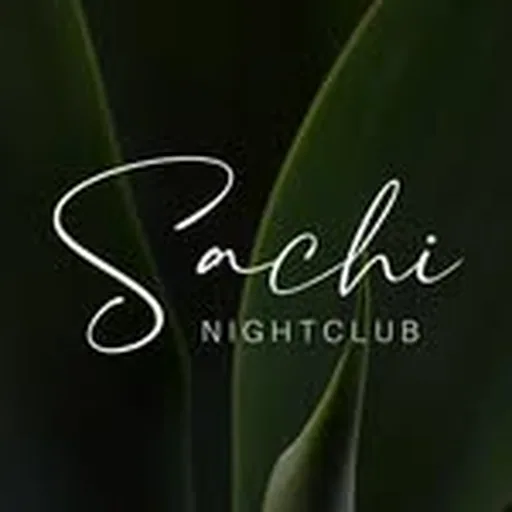 @sachinightclub profile image
