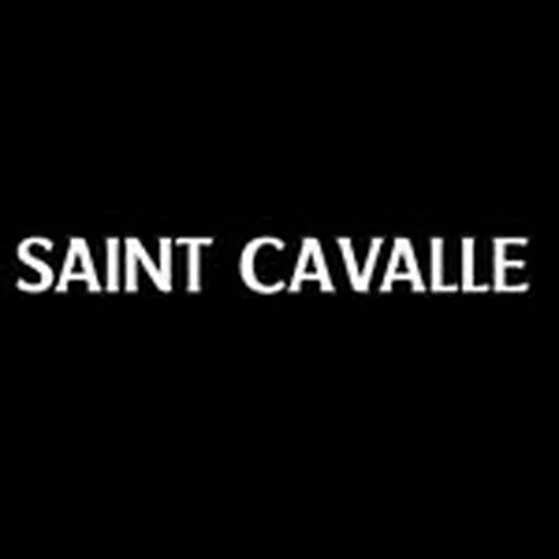 @saintcavalle profile image