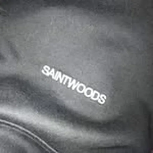 @saintwoods profile image