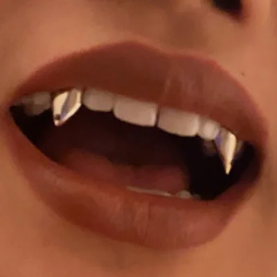 @sal__l profile image