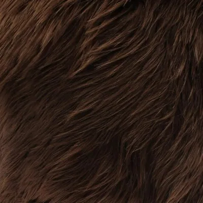 @salapeluche profile image