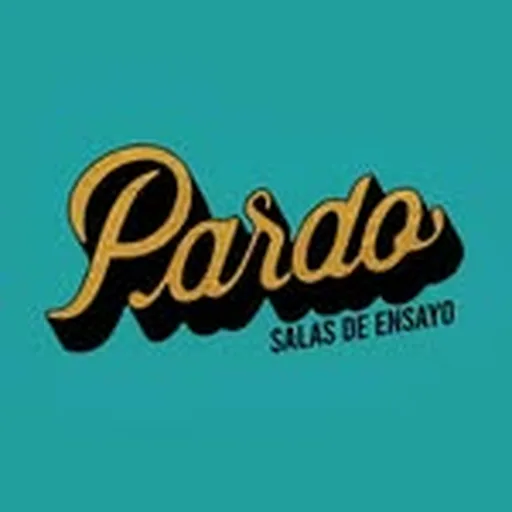 @salaspardo profile image