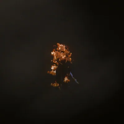 @salehkashefi profile image