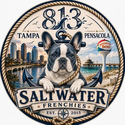 @saltwater.frenchies profile image
