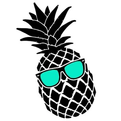 @saltwatercycle profile image