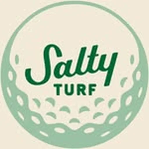 @saltyturf profile image
