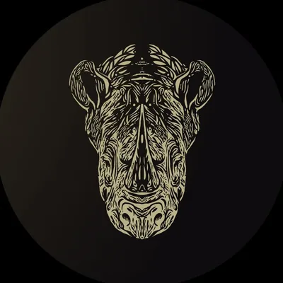 @salvajebarranquilla profile image