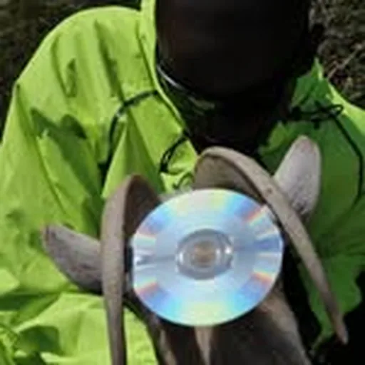 @samaustins profile image