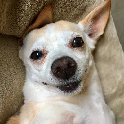 @sammylquan profile image