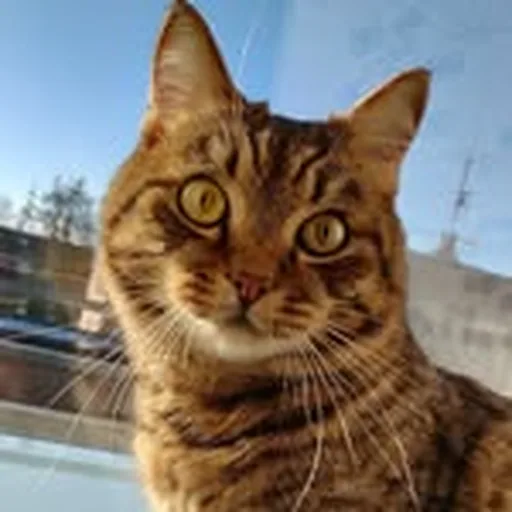 @sammys_tale profile image