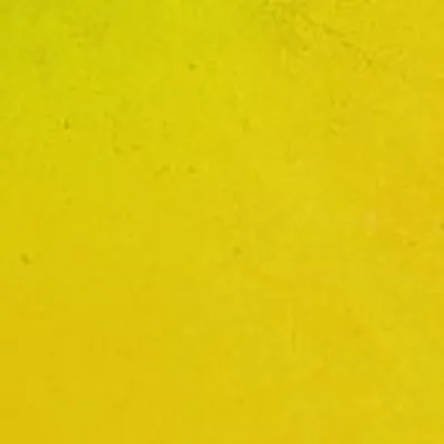 @san.serriffe profile image