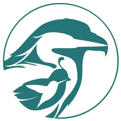 @sandiegobirdalliance profile image