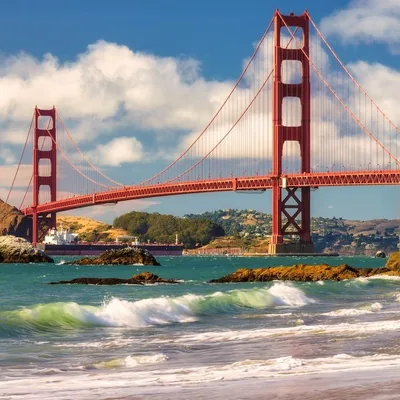 @sanfrancisco.city profile image
