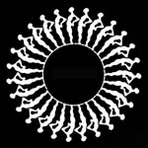 @sans_soleil_mtl profile image