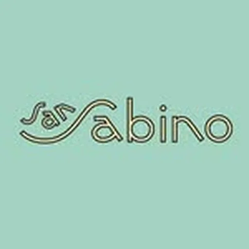 @sansabinonyc profile image