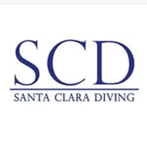 @santaclaradivingclub profile image
