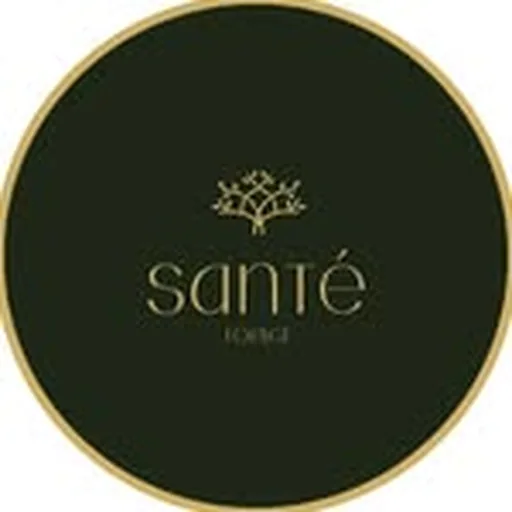 @santehtx profile image