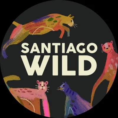@santiagowildfest profile image