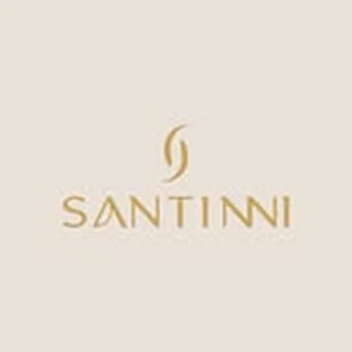 @santinni.in profile image