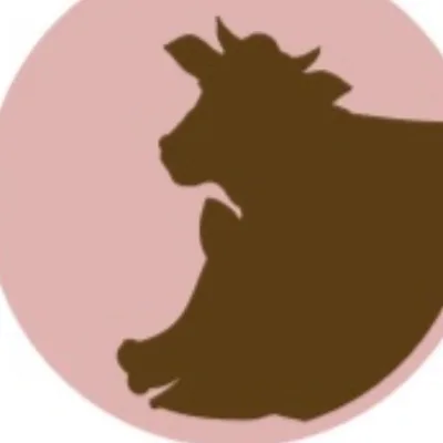 @santuarioamorquesalva profile image