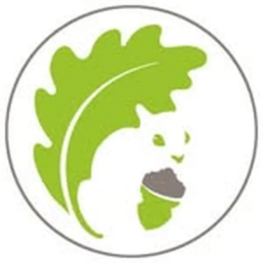 @saparksfoundation profile image