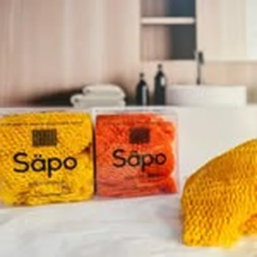 @sapobodysponge profile image