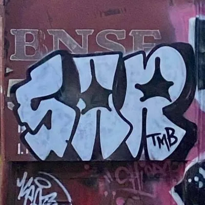 @sar.tmb profile image