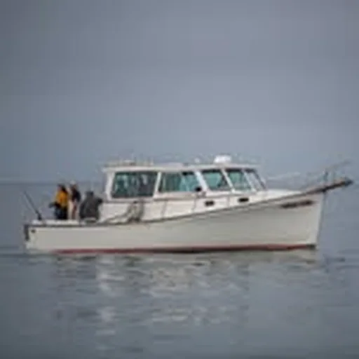 @sara_star_charters profile image