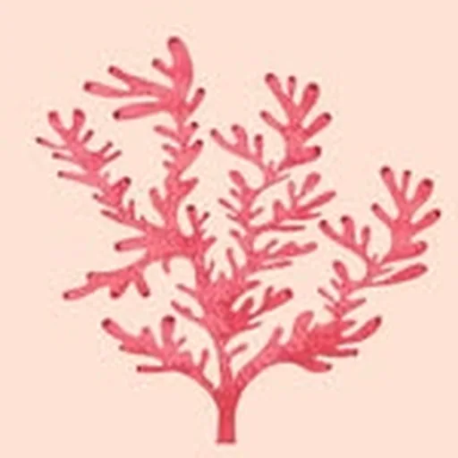 @sarahbraybermuda profile image