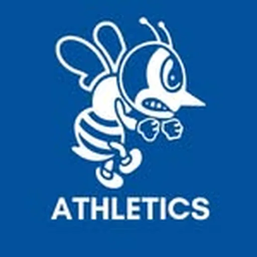 @saubees profile image