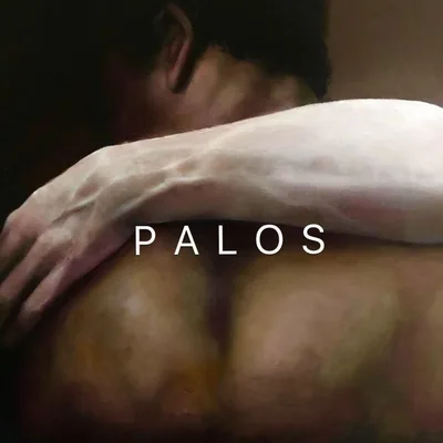 @saulpalosr profile image