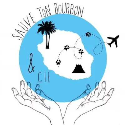 @sauvetonbourbonetcie profile image