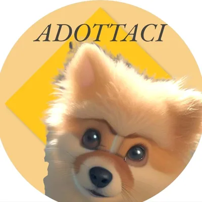 @save_animalsworld profile image