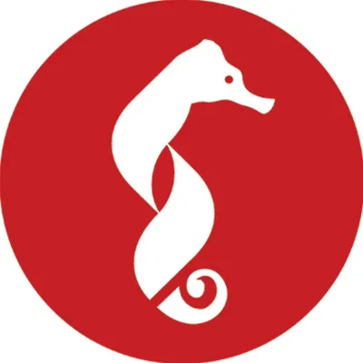 @savellalanguagecentre profile image