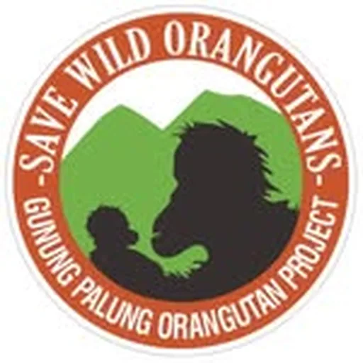@savewildorangutans profile image