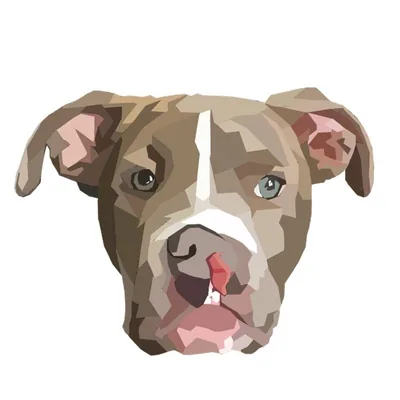 @savingsinatra profile image