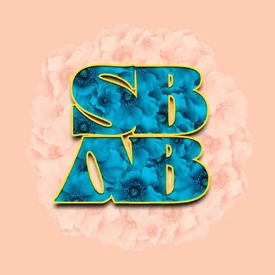 @sbabbrunch profile image