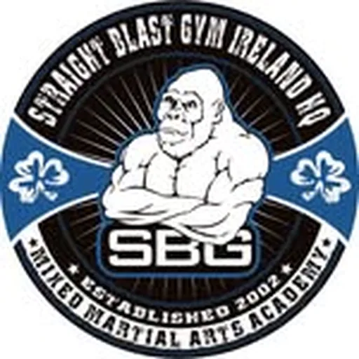 @sbgireland profile image